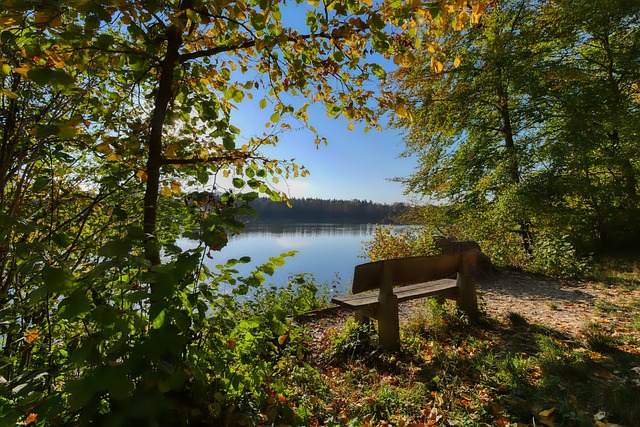 支援和创造 支援和创造