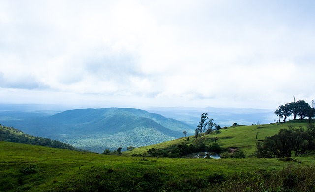 忽视甚至宽 忽视甚至宽