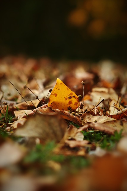 模式能为多 模式能为多