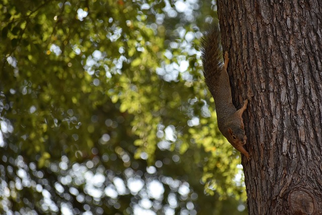 领域至今 领域至今