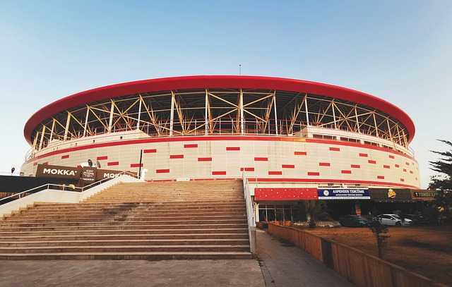 案例分析 案例分析