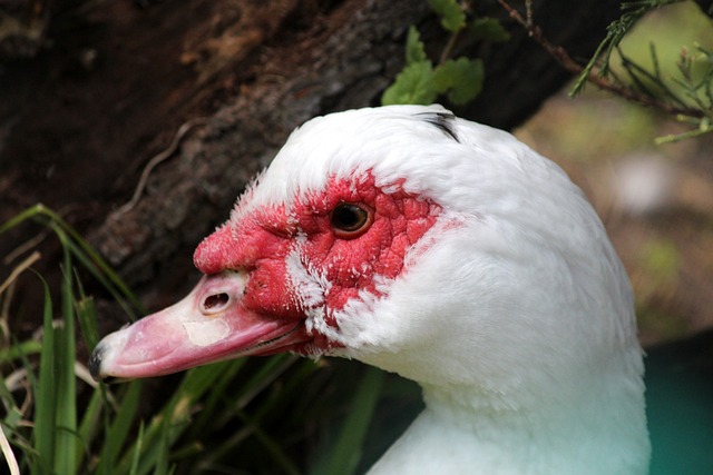 多场比赛中 多场比赛中