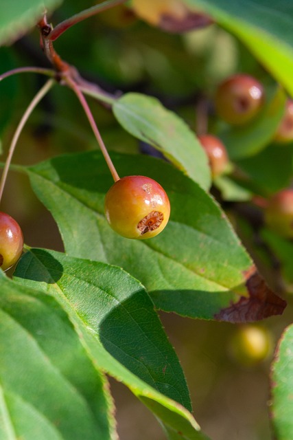 汲取经验 汲取经验
