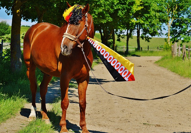 英超第36輪切爾西0-1阿森納  若日尼奧送大禮史密斯羅破門.