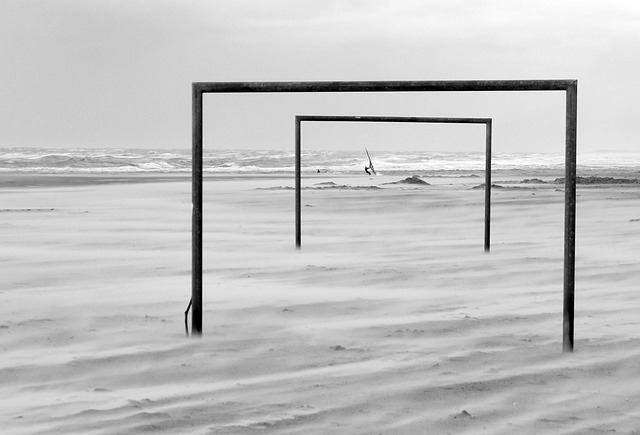 复旦大学在2024年上海市学生运动会（高校组）射箭比赛中获得金牌1枚、铜牌2枚.